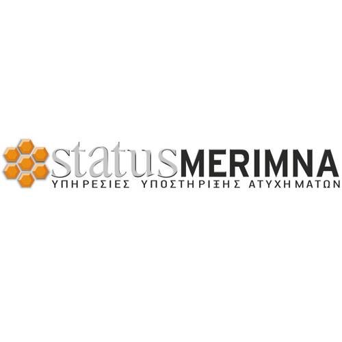 status-epaggelmatikos-merimna